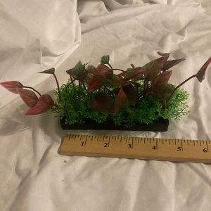 Aquarium green bunch plant